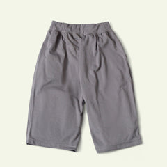 Grey Dino Shorts - Him