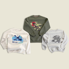 Sweatshirts-Pack of 3