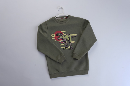 Dino Graphic Sweatshirt for Kids